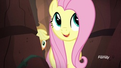 Size: 1920x1080 | Tagged: safe, screencap, applejack, fluttershy, pony, g4, sounds of silence, duo, female, mare
