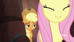 Size: 1920x1080 | Tagged: safe, screencap, applejack, fluttershy, pony, g4, sounds of silence, duo, eyes closed, female, mare