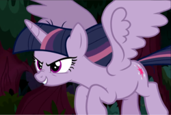 Size: 1046x703 | Tagged: safe, screencap, mean twilight sparkle, alicorn, pony, g4, the mean 6, clone, cropped, evil grin, female, flying, grin, mare, scary face, smiling, spread wings, wings