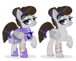 Size: 1024x822 | Tagged: safe, artist:_spacemonkeyz_, oc, oc only, oc:nightfall, pegasus, pony, armor, female, mare, night guard, simple background, solo, transparent background