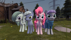 Size: 1024x576 | Tagged: safe, artist:tannerthecat1996, limestone pie, marble pie, maud pie, pinkie pie, earth pony, pony, g4, 3d, pie sisters, siblings, sisters