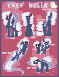 Size: 1675x2200 | Tagged: safe, artist:thehaywaiianhorse, oc, oc only, oc:tres belle, pegasus, pony, female, filly, mare, reference sheet, show accurate, solo, two toned wings