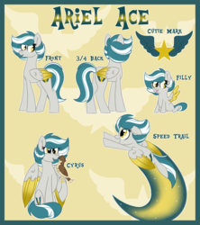 Size: 1600x1800 | Tagged: safe, artist:missbramblemele, oc, oc only, oc:ariel ace, oc:cyrus, pegasus, pony, female, filly, mare, pet, pet oc, reference sheet, show accurate, solo, two toned wings