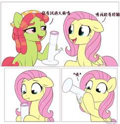 Size: 934x960 | Tagged: safe, artist:moozua, edit, fluttershy, tree hugger, earth pony, pegasus, pony, g4, bong, chinese, comic, drugs, duo, female, imminent vomiting, mare, painfully innocent fluttershy, simple background, translation, tree stoner, white background, you're doing it wrong
