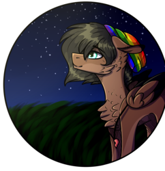 Size: 1015x1050 | Tagged: safe, artist:sweetmelon556, oc, oc only, oc:aaron, pegasus, pony, beanie, hat, male, night, solo, stallion