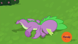 Size: 1920x1080 | Tagged: safe, screencap, spike, dragon, father knows beast, g4, faceplant, male, solo, winged spike, wings
