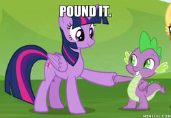 Size: 600x413 | Tagged: safe, edit, edited screencap, screencap, spike, twilight sparkle, alicorn, dragon, pony, father knows beast, g4, cropped, hoofbump, image macro, meme, memeful.com, miraculous ladybug, text, twilight sparkle (alicorn), winged spike, wings