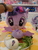 Size: 4608x3456 | Tagged: safe, fluttershy, pinkie pie, rainbow dash, twilight sparkle, alicorn, pony, g4, official, burger, cafe, female, food, irl, kumoya, merchandise, my little pony logo, photo, pillow, plushie, restaurant, singapore, twilight sparkle (alicorn)