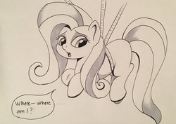 Size: 3543x2513 | Tagged: safe, artist:stammis, fluttershy, pony, g4, confused, female, high res, monochrome, rope, solo, suspended, traditional art, wingless