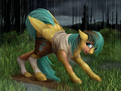 Size: 1000x750 | Tagged: safe, artist:geoffrey mcdermott, sunshower raindrops, pegasus, pony, g4, all fours, clothes, digital painting, female, floppy ears, fluffy, hoofprints, human to pony, looking back, mare, mid-transformation, open mouth, outdoors, rain, ripped socks, ripping clothes, shirt, short, socks, solo, transformation, wings under clothes