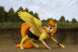 Size: 1000x667 | Tagged: safe, artist:geoffrey mcdermott, spitfire, pegasus, pony, g4, all fours, clothes, ditch, human to pony, light skin, looking back, mid-transformation, shorts, smiling, solo, spread wings, transformation, wings, wristband