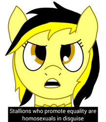 Size: 1117x1280 | Tagged: safe, artist:anonymous, oc, oc:leslie fair, pony, /mlpol/, angry, equality, implied gay, memri tv, ponified