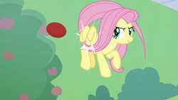 Size: 1280x720 | Tagged: safe, screencap, fluttershy, pegasus, pony, father knows beast, g4, ball, female, flying, mare, solo