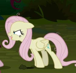 Size: 718x688 | Tagged: safe, screencap, mean fluttershy, mean pinkie pie, pegasus, pony, g4, the mean 6, clone, cropped, everfree forest, evil laugh, female, laughing, mare, solo focus