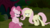 Size: 1249x702 | Tagged: safe, screencap, mean fluttershy, mean pinkie pie, earth pony, pegasus, pony, g4, my little pony: friendship is magic, the mean 6, angry, bully, bullying, clone, duo, evil laugh, female, flutterbitch, laughing, mare, narrowed eyes, sitting, unamused