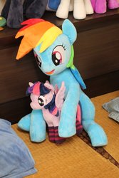 Size: 800x1200 | Tagged: safe, artist:nekokevin, rainbow dash, twilight sparkle, alicorn, pony, g4, 4de, clothes, cute, duo, female, holding a pony, irl, mare, open mouth, photo, plushie, sitting, size difference, socks, striped socks, twilight sparkle (alicorn)