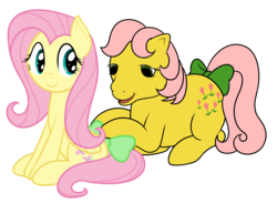 Size: 2250x1650 | Tagged: safe, artist:nitei, fluttershy, posey, earth pony, pegasus, pony, g1, g4, 35th anniversary, bow, duo, female, g1 to g4, generation leap, generational ponidox, mare, simple background, tail bow, transparent background