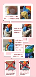 Size: 2826x5933 | Tagged: safe, artist:caibaoreturn, rainbow dash, pony, comic:pony washing instructions, g4, chinese, female, irl, photo, plushie