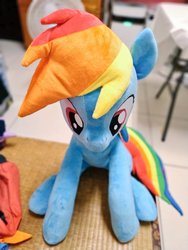 Size: 768x1024 | Tagged: safe, artist:nekokevin, rainbow dash, pegasus, pony, g4, female, irl, looking down, mare, photo, plushie, sitting, solo
