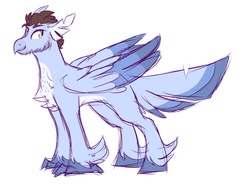 Size: 3400x2500 | Tagged: dead source, safe, artist:canisrettmajoris, oc, oc only, classical hippogriff, hippogriff, colored sketch, high res, male, simple background, smiling, solo, white background