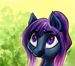 Size: 642x559 | Tagged: safe, artist:cikada, artist:colpancake, oc, pony, digital art, female, mare, purple