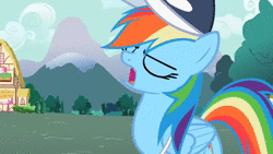 Size: 1280x720 | Tagged: safe, screencap, fluttershy, rainbow dash, tank, g4, may the best pet win, animated, cute, sound, webm