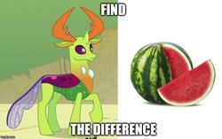 Size: 794x500 | Tagged: source needed, safe, edit, edited screencap, screencap, thorax, changedling, changeling, g4, triple threat, antlers, caption, changeling loves watermelon, find the difference, food, fruit, image macro, imgflip, king thorax, meme, spot the difference, text, wat, watermelon