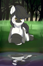 Size: 1024x1546 | Tagged: safe, artist:melodis, oc, oc only, pony, solo