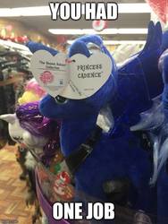 Size: 500x666 | Tagged: safe, fluttershy, princess luna, rarity, alicorn, pony, g4, beanie, fail, female, hat, image macro, imgflip, implied princess cadance, irl, mare, meme, misspelling, my little pony logo, photo, plushie, text, toy store, ty, you had one job