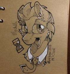 Size: 567x600 | Tagged: safe, artist:mychelle, doctor whooves, time turner, earth pony, pony, g4, bust, inktober, male, monochrome, portrait, solo, traditional art
