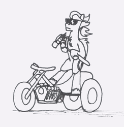 Size: 1678x1718 | Tagged: safe, artist:summerium, oc, oc only, oc:summer lights, pegasus, pony, bipedal, grayscale, hammer, male, monochrome, motor trike, ponytail, simple background, solo, sunglasses, super sledge, traditional art, vehicle, white background