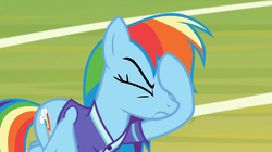 Size: 1920x1074 | Tagged: safe, screencap, rainbow dash, pony, g4, the end in friend, facehoof, rainbow dash is not amused, unamused