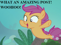 Size: 512x384 | Tagged: safe, edit, edited screencap, editor:korora, screencap, apple bloom, scootaloo, sweetie belle, fish, pegasus, pony, seapony (g4), g4, surf and/or turf, bubble, conch, coral, cropped, cute, cutealoo, cutie mark crusaders, dorsal fin, female, filly, fin, fin wings, fins, fish tail, flowing mane, flowing tail, foal, happy, ocean, open mouth, open smile, reaction image, rock, sea-mcs, seaponified, seapony apple bloom, seapony scootaloo, seapony sweetie belle, seaquestria, seashell, seaweed, smiling, solo, species swap, spread wings, swimming, tail, text, underwater, water, wings