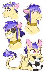 Size: 2500x4000 | Tagged: safe, artist:canisrettmajoris, oc, oc only, oc:lapis stone, hybrid, baby, chewing, collar, drool, eating, football, hair bun, interspecies offspring, leonine tail, male, offspring, parent:ahuizotl, parent:daring do, parents:darizotl, simple background, smiling, solo, sports, sunglasses, white background