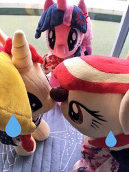 Size: 900x1200 | Tagged: safe, sunset shimmer, twilight sparkle, oc, oc:poniko, alicorn, pony, g4, irl, japan ponycon, photo, plushie, trio, twilight sparkle (alicorn)