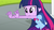 Size: 1920x1080 | Tagged: safe, screencap, twilight sparkle, alicorn, equestria girls, g4, my little pony equestria girls, backpack, clothes, grass, mirror portal, twilight sparkle (alicorn)