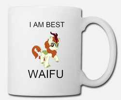 Size: 889x740 | Tagged: safe, autumn blaze, kirin, g4, sounds of silence, coffee mug, female, mug, reaction image, truth, waifu