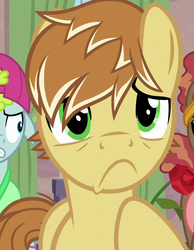 Size: 521x671 | Tagged: safe, screencap, feather bangs, glamor trot, stereo mix, earth pony, pony, g4, hard to say anything, my little pony: friendship is magic, cropped, male, sad, solo focus, stallion