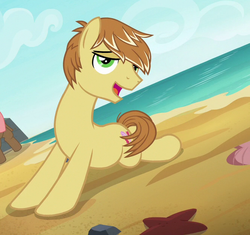 Size: 663x622 | Tagged: safe, screencap, feather bangs, earth pony, pony, g4, hard to say anything, beach, cropped, cutie mark, male, ocean, smiling, stallion, stupid sexy feather bangs