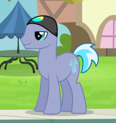 Size: 407x429 | Tagged: safe, screencap, cool tsunami, earth pony, pony, g4, leap of faith, background pony, cropped, hat, male, solo, stallion, swimming cap