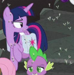 Size: 375x379 | Tagged: safe, screencap, fluttershy, rarity, spike, twilight sparkle, alicorn, dragon, fly, fly-der, insect, pony, g4, school raze, animated, cropped, female, horses doing horse things, mare, saddle bag, tail flick, twilight sparkle (alicorn), winged spike, wings