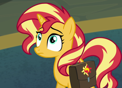 Size: 1486x1077 | Tagged: safe, screencap, sunset shimmer, pony, unicorn, equestria girls, equestria girls specials, g4, my little pony equestria girls: better together, my little pony equestria girls: forgotten friendship, cropped, cutie mark, eyebrows, female, mare, saddle bag