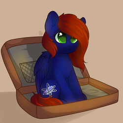 Size: 2500x2500 | Tagged: safe, artist:alphadesu, oc, oc only, oc:night coder, pegasus, pony, behaving like a cat, cute, female, high res, mare, simple background, sitting, smiling, solo, suitcase, wings, ych result
