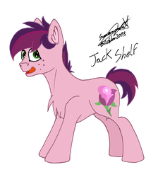 Size: 2085x2332 | Tagged: safe, artist:summerium, oc, oc only, oc:jack shelf, earth pony, pony, happy, high res, male, mixed media, smiling, solo