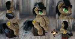 Size: 1935x1000 | Tagged: safe, artist:essorille, doctor caballeron, earth pony, pony, g4, chest, cute, cutealleron, eyebrows, fluffy, fluffy mane, irl, male, missing accessory, photo, plushie, solo, stallion