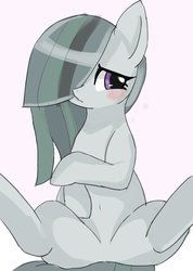 Size: 749x1052 | Tagged: safe, artist:manachaaaaaaaa, marble pie, earth pony, pony, g4, belly button, blushing, chubby, cute, featureless crotch, female, looking away, mare, simple background, sitting, solo, white background