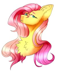 Size: 567x681 | Tagged: safe, artist:foxlove253, fluttershy, pony, g4, big ears, bust, chest fluff, ear fluff, female, fluffy, lidded eyes, looking at you, mare, simple background, solo, transparent background