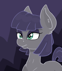 Size: 1696x1945 | Tagged: safe, artist:paskanaakka, derpibooru exclusive, maud pie, earth pony, pony, g4, abstract background, alternate hairstyle, ear fluff, eyeshadow, female, makeup, mare, solo