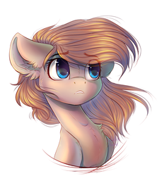 Size: 2072x2260 | Tagged: safe, artist:falafeljake, oc, oc only, pony, bust, high res, simple background, solo