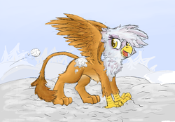 Size: 2412x1675 | Tagged: safe, artist:pzkratzer, gilda, griffon, g4, colored sketch, cute, female, fun, gildadorable, offscreen character, sketch, smiling, snow, snowball, snowball fight, solo, spread wings, wings, winter